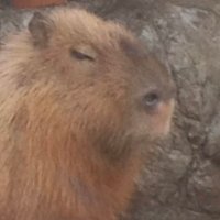 DEMPA-MAX (@dempamax) 's Twitter Profile