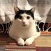 La Emme (@micol_agazzani) Twitter profile photo