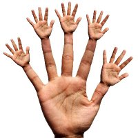 Brewington's Book Club (@brewingtonclub) 's Twitter Profile Photo