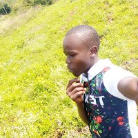 Daniel Ouko (@danielouko11) 's Twitter Profile