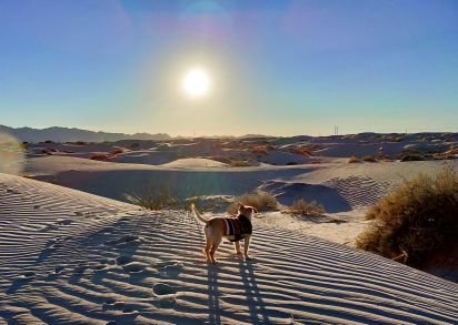 Amo cocinar , las recetas no son inmutables sino una inspiración. Amo caminar por los paisajes naturales, igual en la montaña que en el desierto.