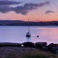 Joan McDaid (@joanbyersmcd) 's Twitter Profile