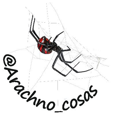 Arachno_Cosas Profile Picture