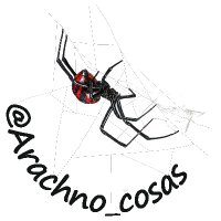 Soy aracnólogo, pregúntame lo que quieras(@Arachno_Cosas) 's Twitter Profile Photo