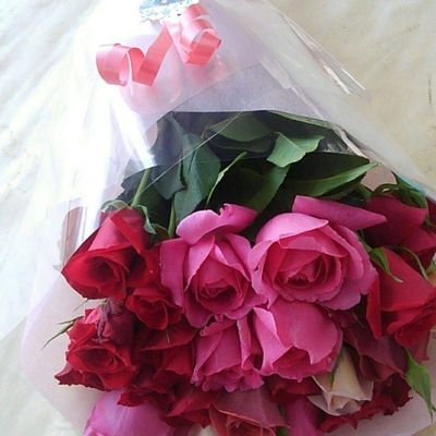 DanovaMila's profile picture. 