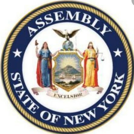 NYS Assemblymember since 2015 representing the 42nd AD, Flatbush/Midwood Brooklyn. Chairs MWBE subcommittee in the Assembly; Official Government Page