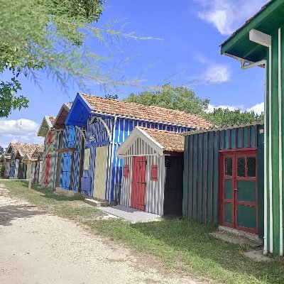 LoulouCrack's profile picture. 