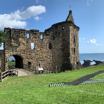 sybil_d7's profile picture. 