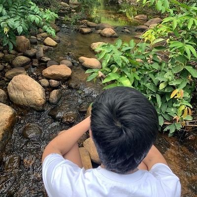 vanshc24's profile picture. 🇮🇳