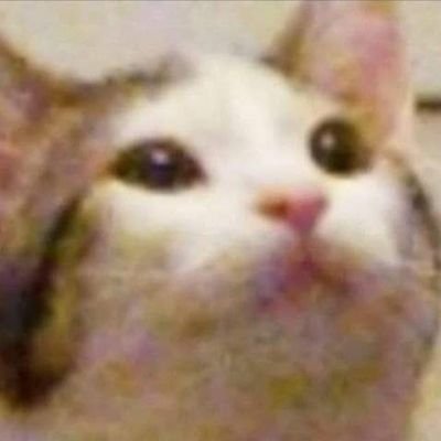 jarbledprivate's profile picture. 