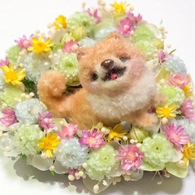 mignonne mikaさんのプロフィール画像