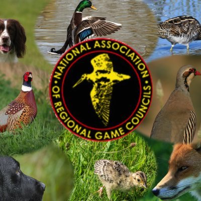 National Association of Regional Game Councils. Irelands Largest Hunting, Shooting & Conservation Body. Representing over 1000 clubs and 25,000 members.
