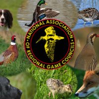 NARGC (@nargc11) Twitter profile photo