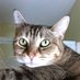 MittenKittens ๐ ๐ฅ๐ฎ ๐ธ๐จ๐ฆ๐ (@m_eleven) Twitter profile photo MittenKittens ๐ ๐ฅ๐ฎ ๐ธ๐จ๐ฆ๐ (@m_eleven) Twitter profile photo