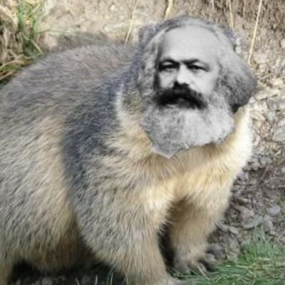 KrugMax2's profile picture. bidon