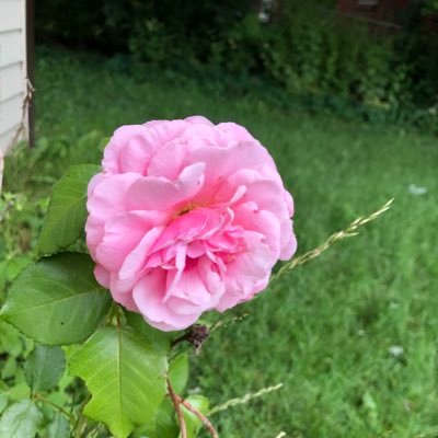 michell08773789's profile picture. 