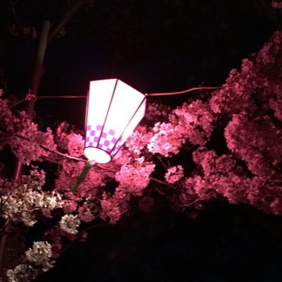 映画、アニメ、音楽のプロモーションビデオランキングサイトを運営しています。ぜひのぞいてみてください https://t.co/uDMsfKFigV