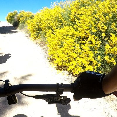 Lon07764446's profile picture. 