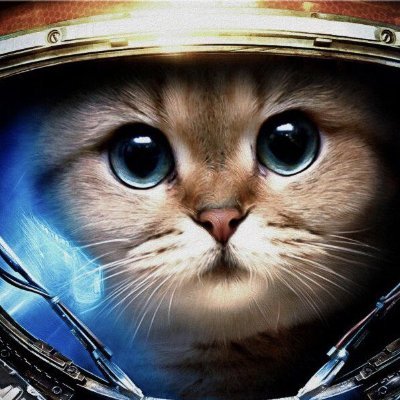 tangyang9999's profile picture. 