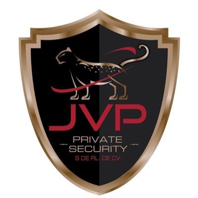 JVPSecurityMx Profile Picture