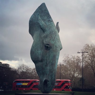 MAljulaifi's profile picture. 