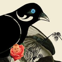 Seagull Books سیگل (@seagullbooks) 's Twitter Profile