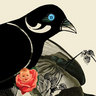 seagullbooks's profile picture. Crafting books like works of art. World literature in translation. Fiction. Poetry. Drama. Social sciences. Theatre. Performance. Art . . .