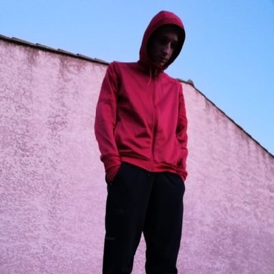 PyraxeDUO's profile picture. 