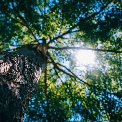 Gall10130167's profile picture. 