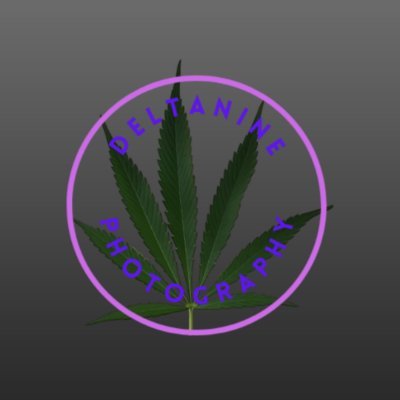 21+, Cannabis Content FYE, I do NOT condone the use of any substances, I live in a legal state everything I post is 100% legally grown/purchased for adult use