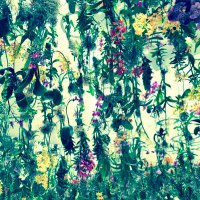 くら (@rararan_kuraran) 's Twitter Profile Photo