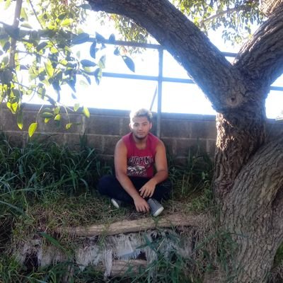 Ulises00137257's profile picture. 