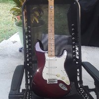 Charlie Murray🐬 (@grizz01) 's Twitter Profile Photo