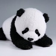 2児の母/国立小3♂/年長♀/2025小受 /子どもの好きを応援したい。情報収集のためアカウント作りました。勉強させて下さい。無言フォロー失礼します。