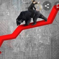 🇮🇳 Bear of stock market 🇮🇳(@riya23888796) 's Twitter Profile Photo