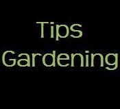 Follow @TipsGardening for gardening news, photos, videos, tips and advice.