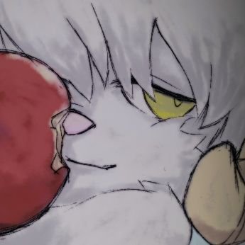 みりん/ざらめさんのプロフィール画像