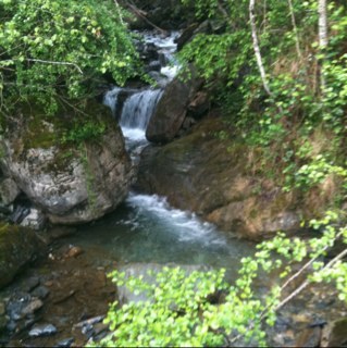 Ossauinfo's profile picture. 