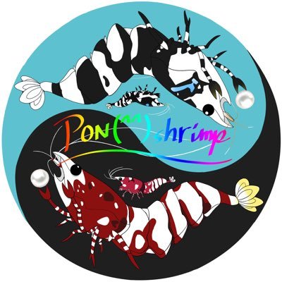 PON(^^)shrimpさんのプロフィール画像
