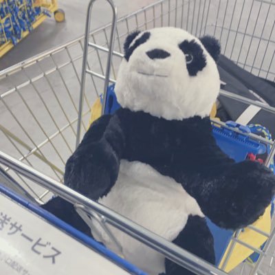 pQpQ___qQ's profile picture. 『ハッピーエンドは自力でもぎ取ってやる』