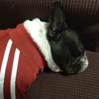 (マリオ) (@woxts85smb8xizd) 's Twitter Profile