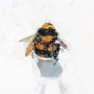 Busy bee, too busy for this nonsense really. X acct of me, Philip Bell, ex posh costermonger now bookseller (again). Books, art, music, ancient stones, leftie