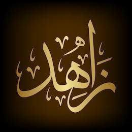 مہاجر پاکستانی/ سوشل میڈیا پولیٹکل ایکٹیوسٹ/ ایم کیو ایم پاکستان