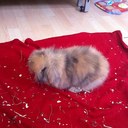 Hazel Matthews - @hmatt21 - Twitter