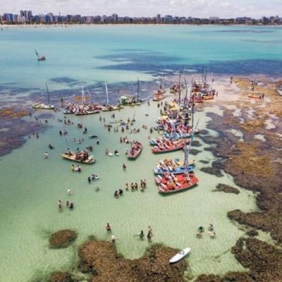 conhecaalagooas's profile picture. 