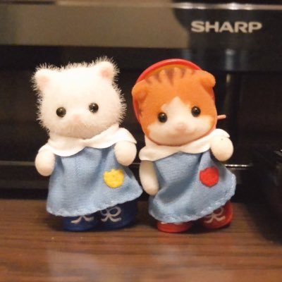 かおりページ AMBIDEX Store ○ワッシャーブロード ペチスカート(F シロ