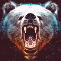 Vladimir ❤️ Memecoin (@ardvlaw) 's Twitter Profile