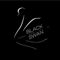 Black Swan Wellness to Work Initiative (@blackswanwork) Twitter profile photo