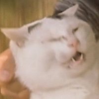 . (@foxfirefirefire) Twitter profile photo