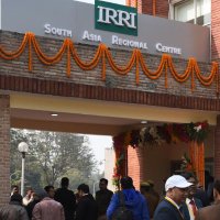 IRRI South Asia Regional Centre (ISARC), India (@irri_sarc) 's Twitter Profile
